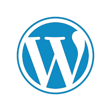 Top Digital Marketing Company in Sirsa